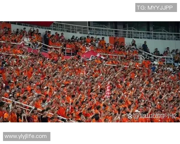 武汉足球队技术分析:联赛表现的优劣与未来发展潜力探讨 武汉足球队技术分析:联赛表现的优劣与未来发展潜力探讨