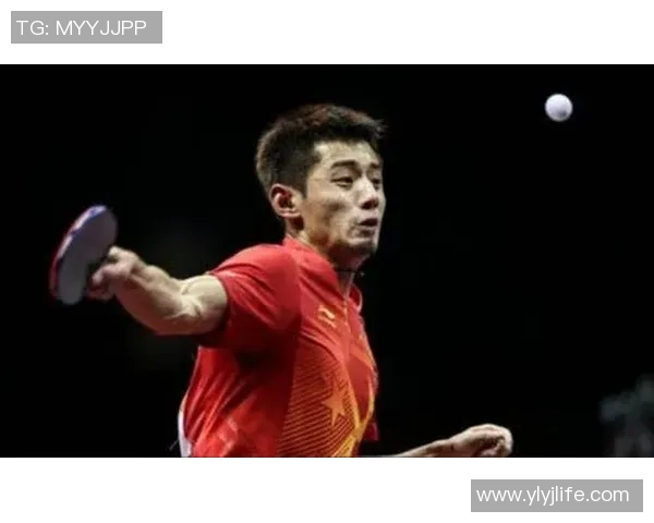 羽毛球女将杨丽的奋斗历程与人生感悟对话分享