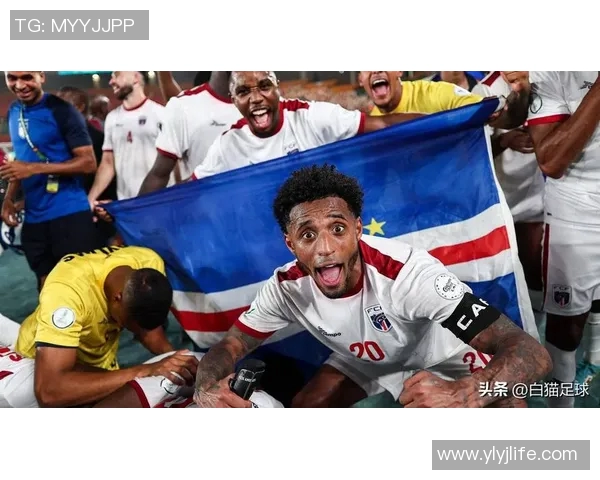 冰岛足球明星盘点：那些在国际舞台上闪耀的球员们