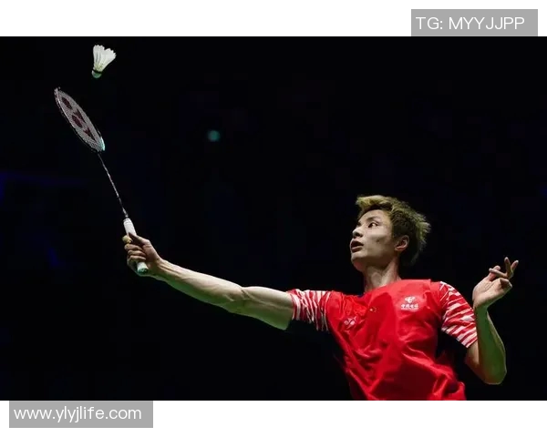 成都羽毛球队在杯赛中的精彩表现与实力分析