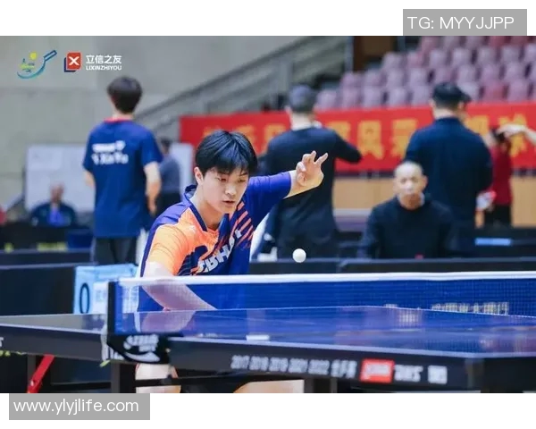 杭州乒乓球队实力解析：从训练到比赛的全面探讨与展望