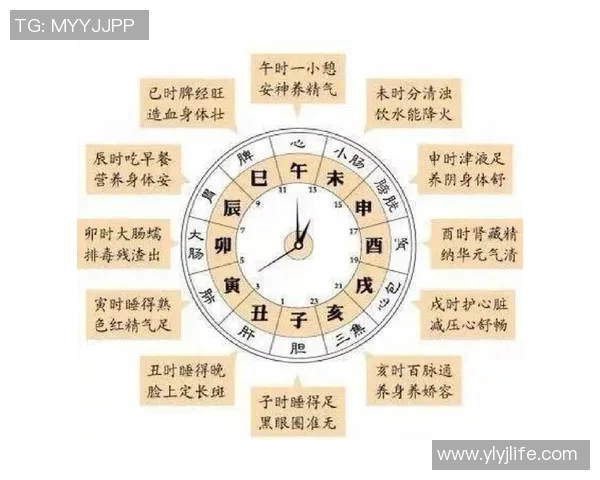 武汉排球队节奏对比分析揭示战术变化与球队表现的深层关系 武汉排球队节奏对比分析揭示战术变化与球队表现的深层关系