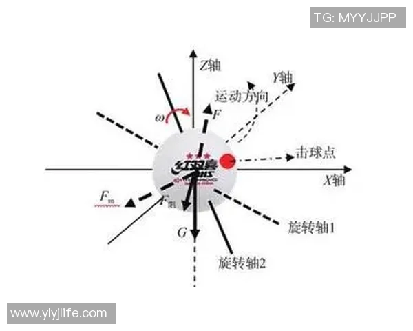深圳乒乓球队在锦标赛中的速度表现分析与战术探讨