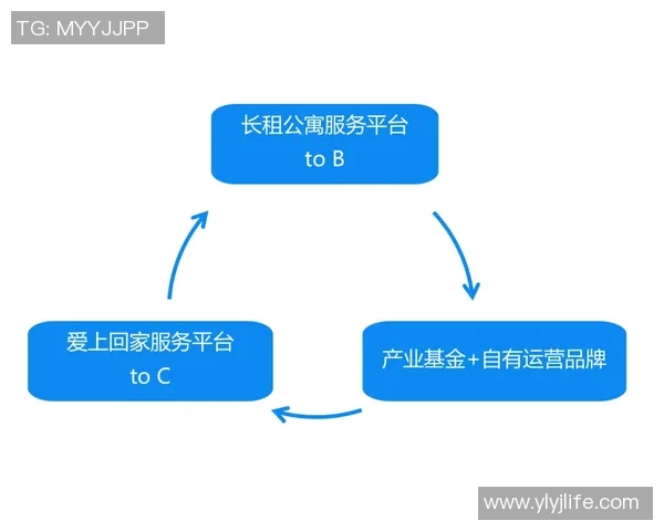 深圳羽毛球队快攻革新之路：技术提升与战术变革的深度解析