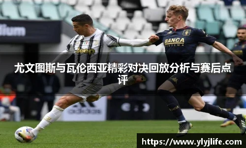 新利体育官网