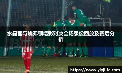 水晶宫与埃弗顿精彩对决全场录像回放及赛后分析